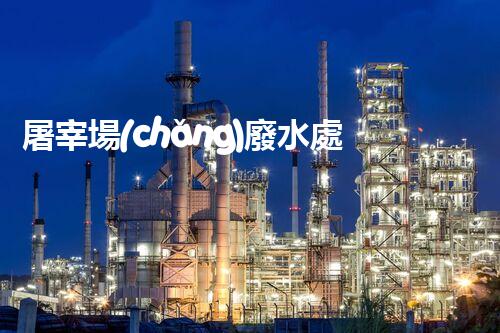 屠宰場(chǎng)廢水處理工藝的創(chuàng)新與以后？